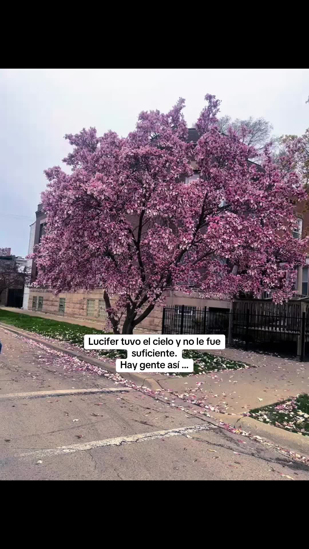 @S u s s i E s