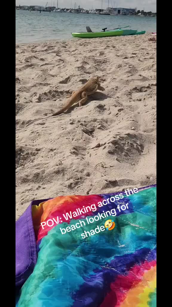 @hangwithJ2