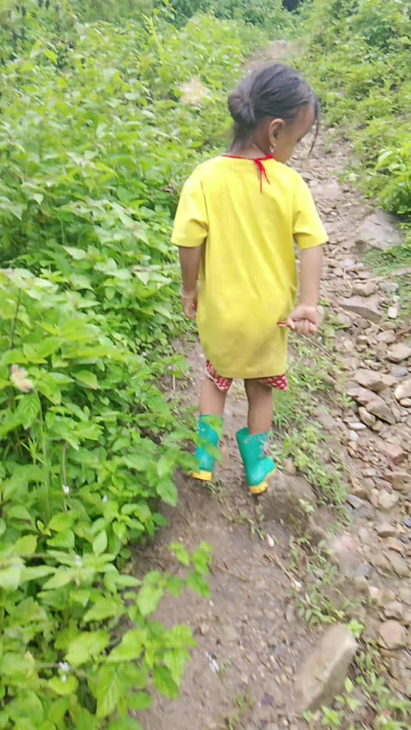 @devang8020