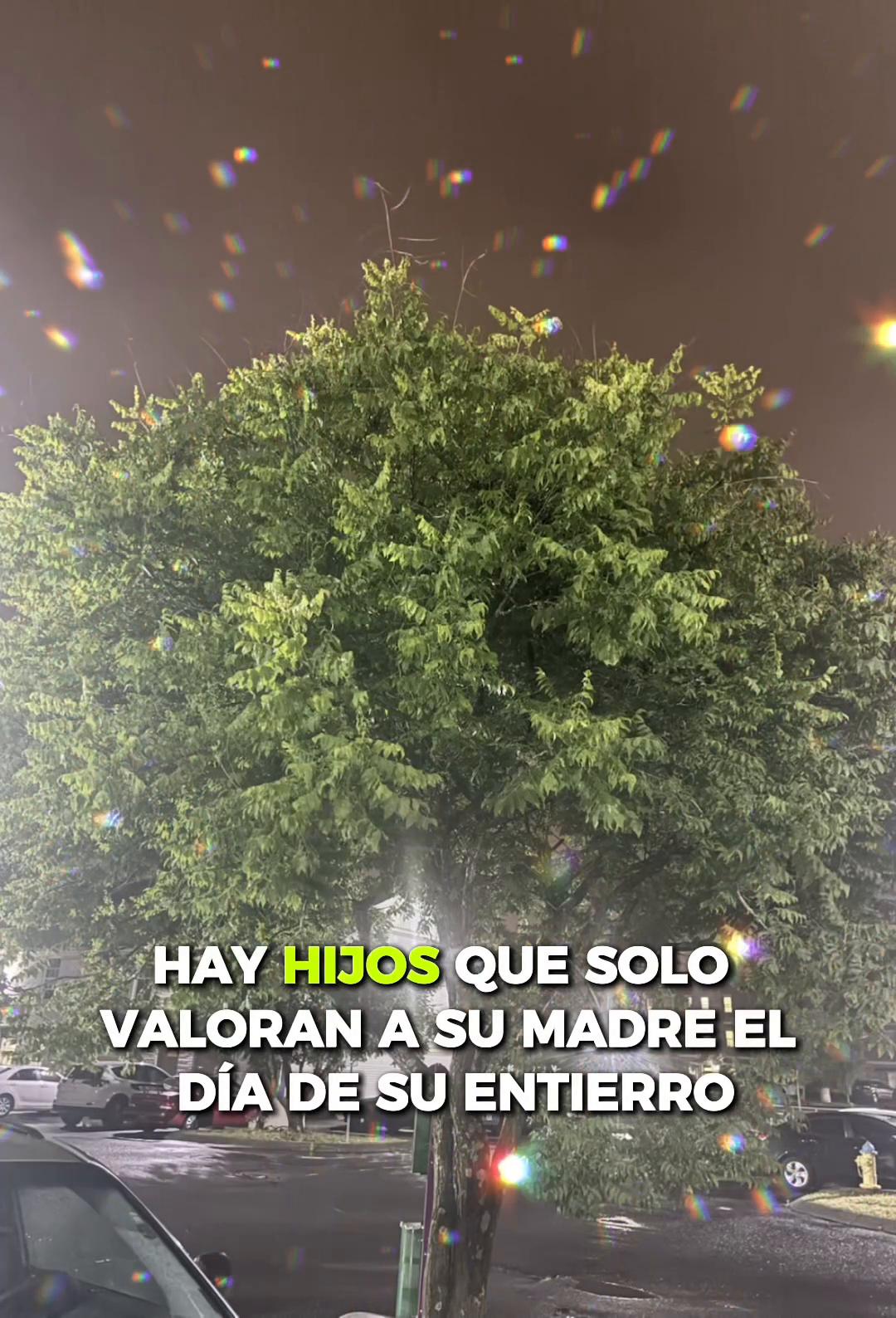 @🫂🐾♉️Masiel d Edison🫶 ⩜⃝🌈🦩