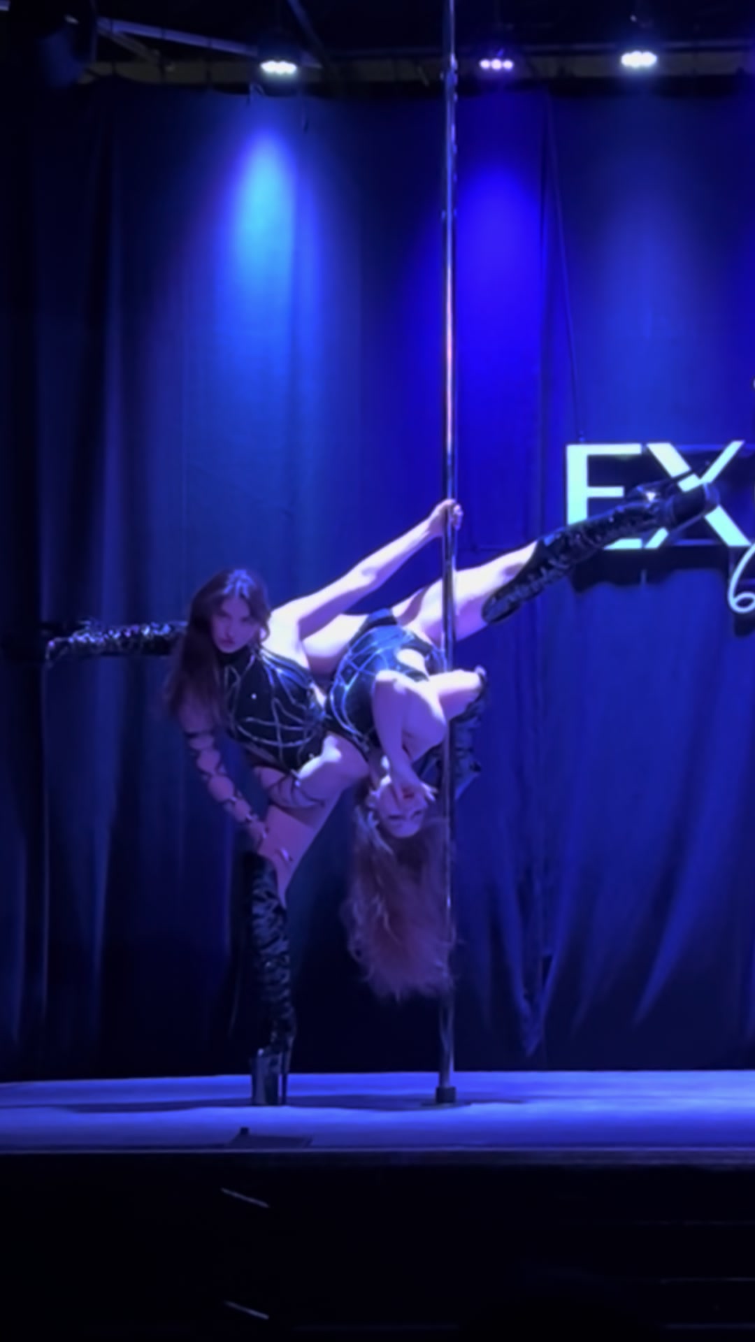 @Laima Exotic Pd, Strip