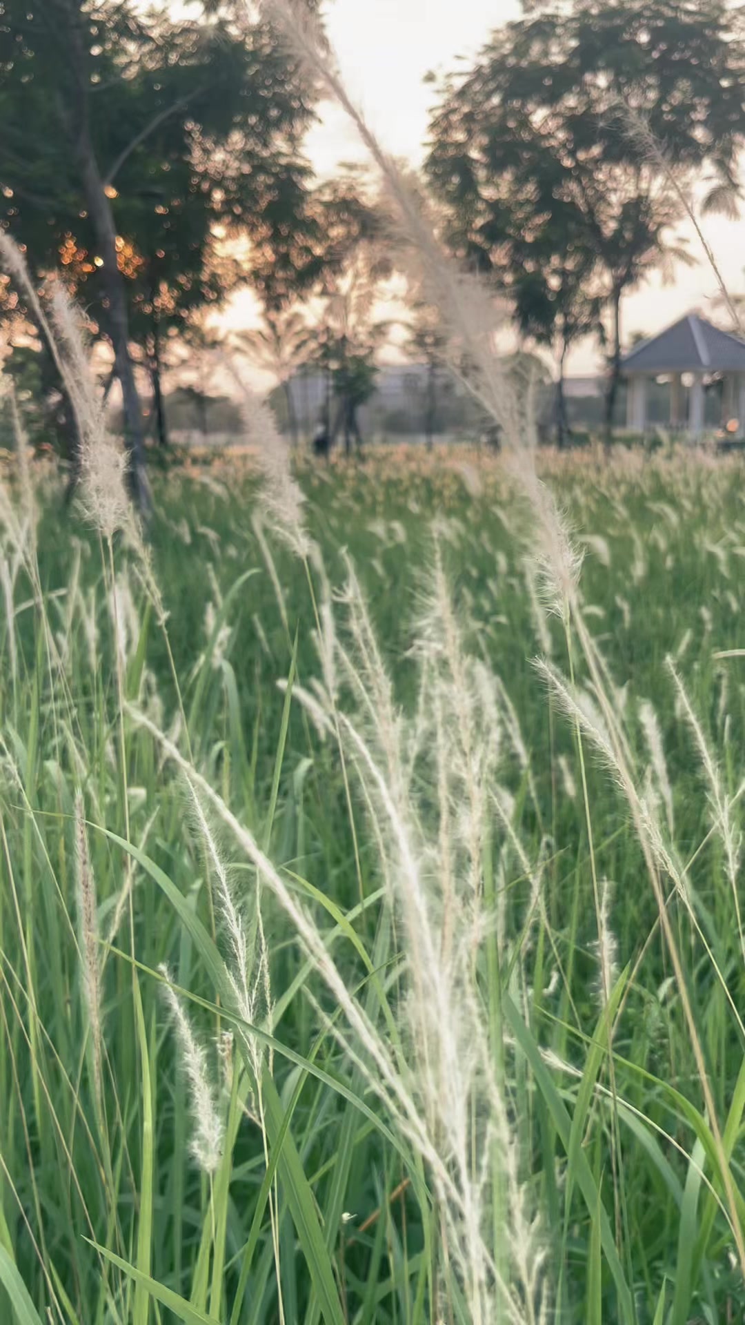 @Cô Mây Hà Nội