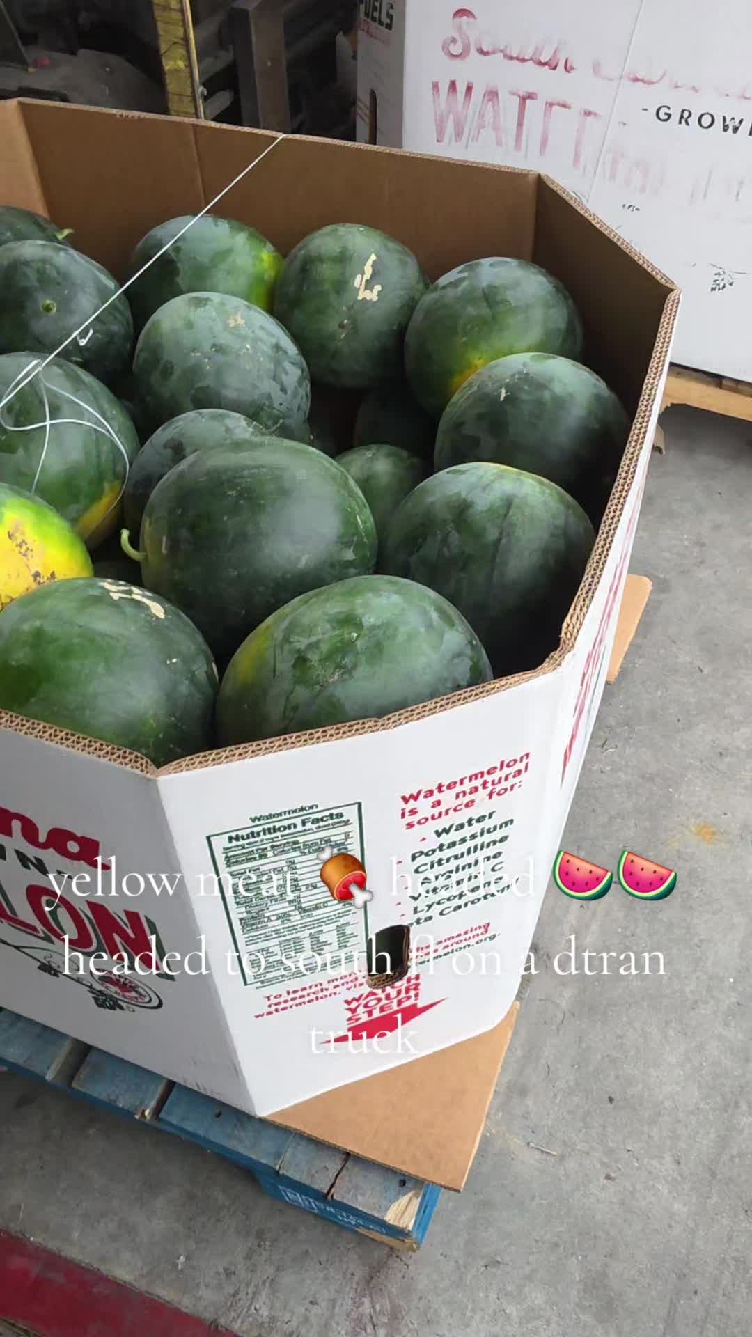 @dtran 69