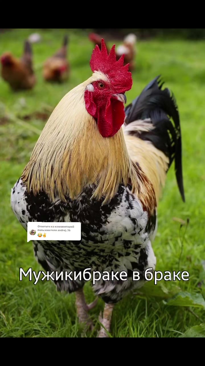 @Lyudmila Серегина 1920