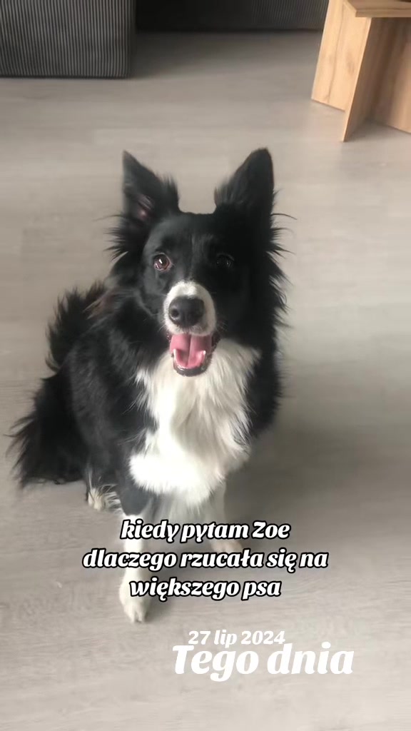 @gosiaczekGosik🖤
