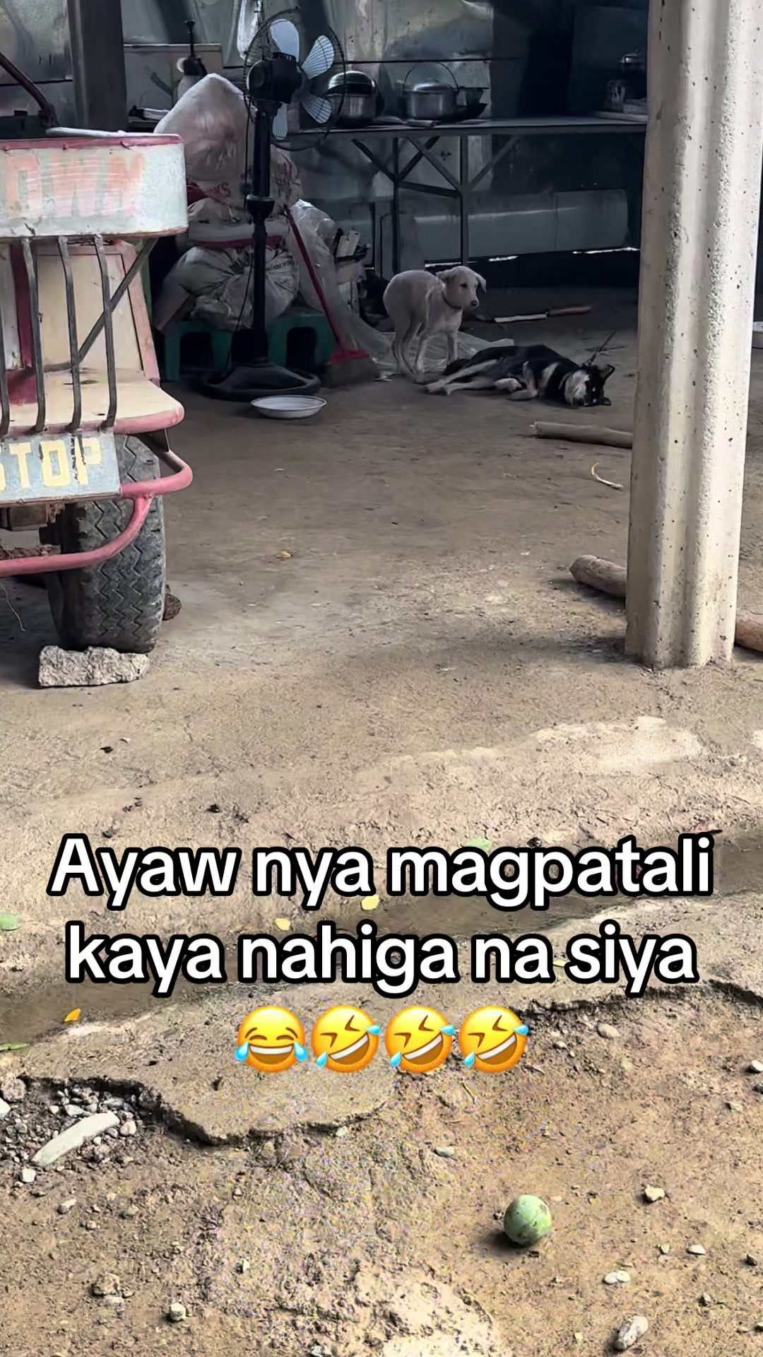 @BOSS MADAM HANNAH