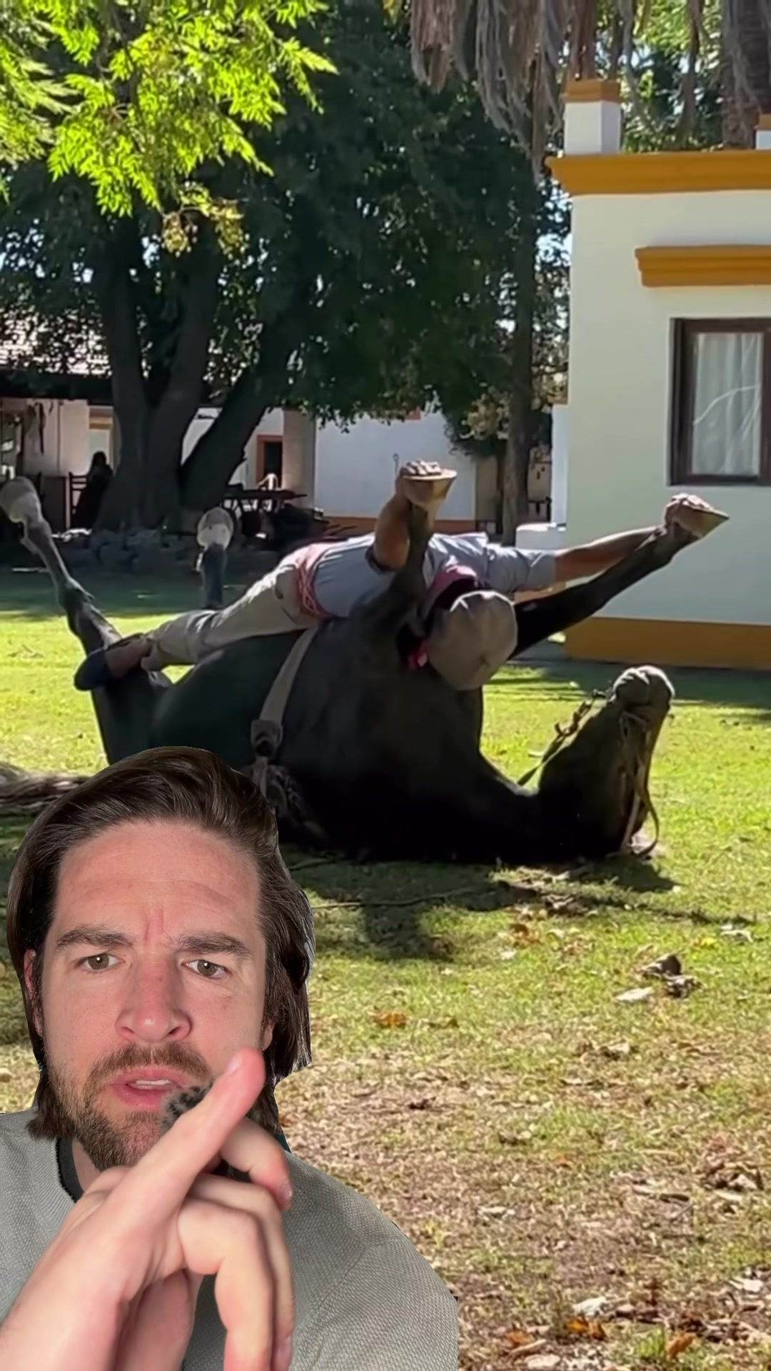 @Nunchakusdragon