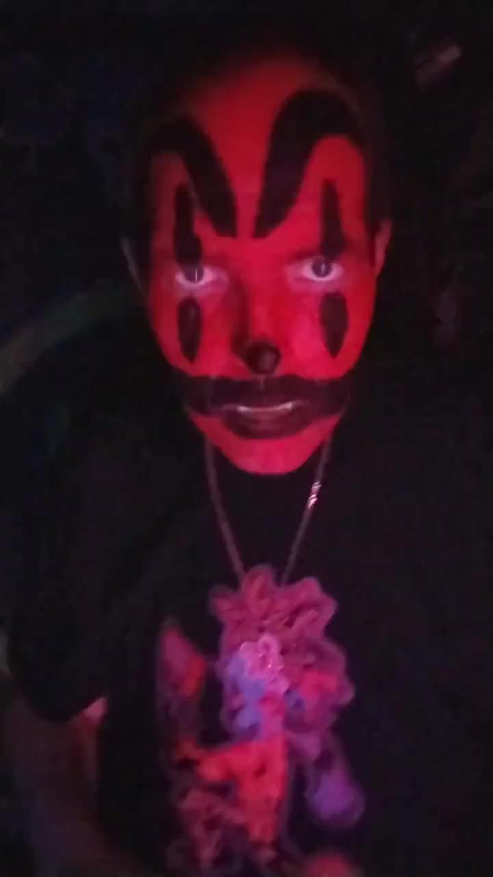 @PurgeKitty