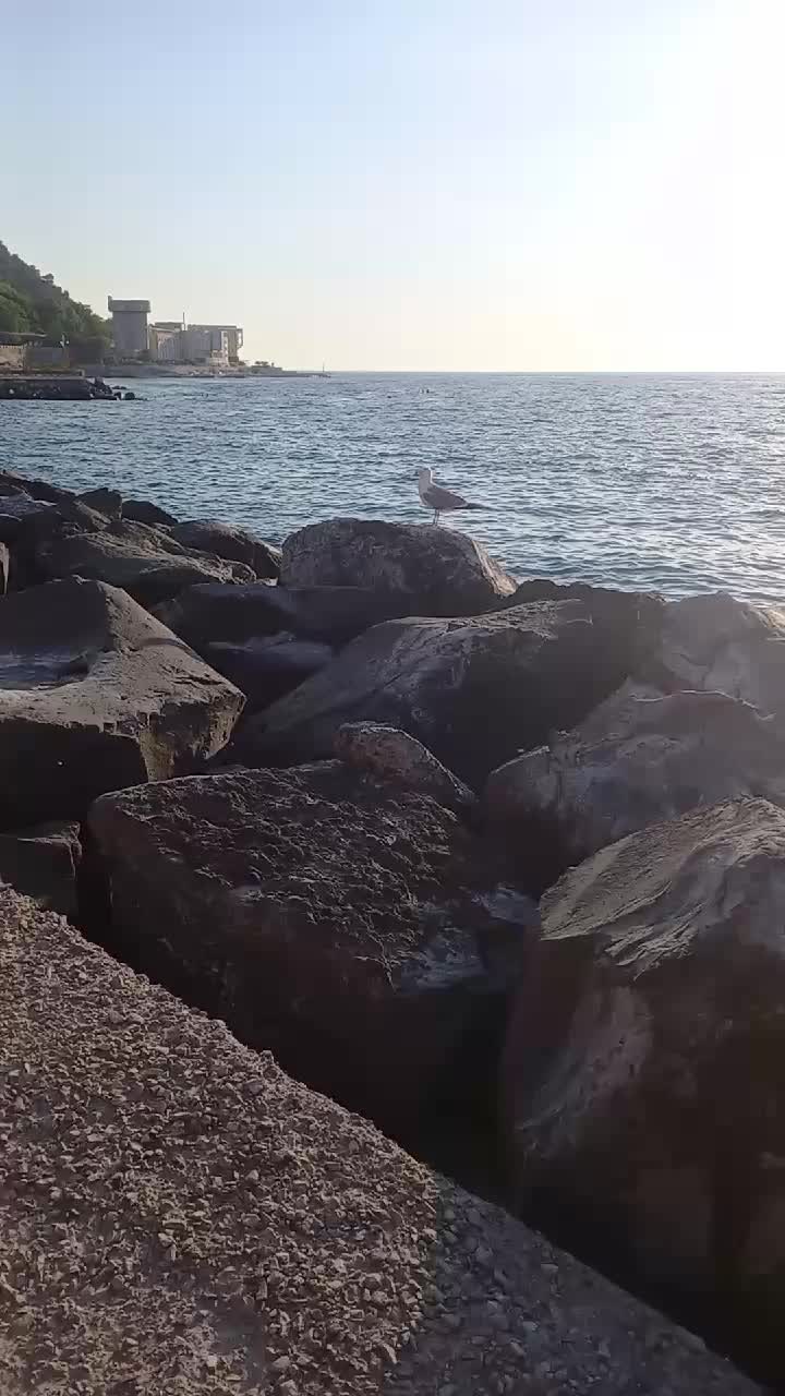 @nunziazatti