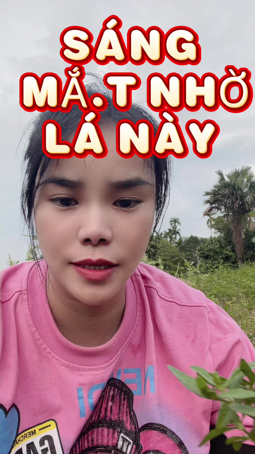 @Ngọc Chinh Miền N&uacute;i