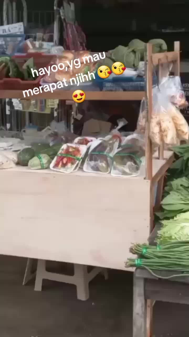 @user3336135547521