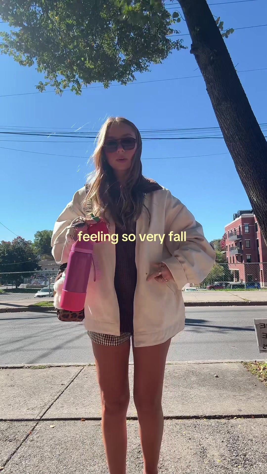 @ava🐞