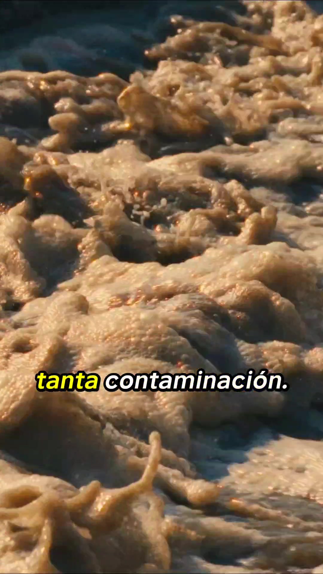 @Greenpeace M&eacute;xico