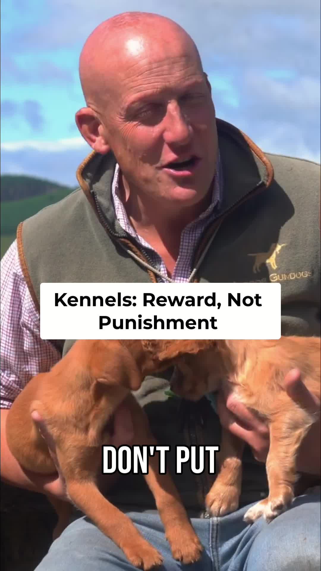 @Mordor Gundogs