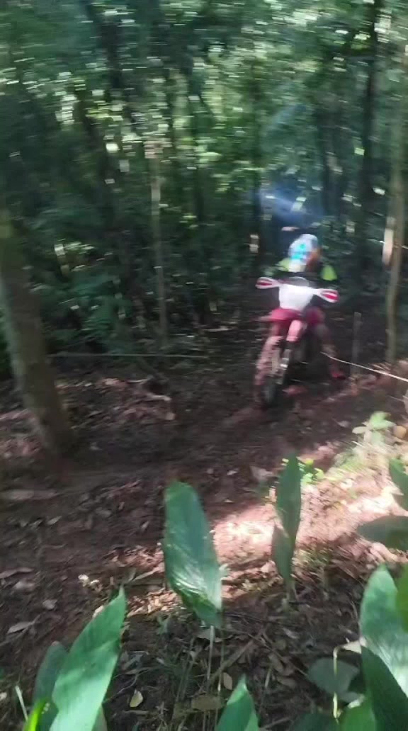 @Daniel De Oliveira D
