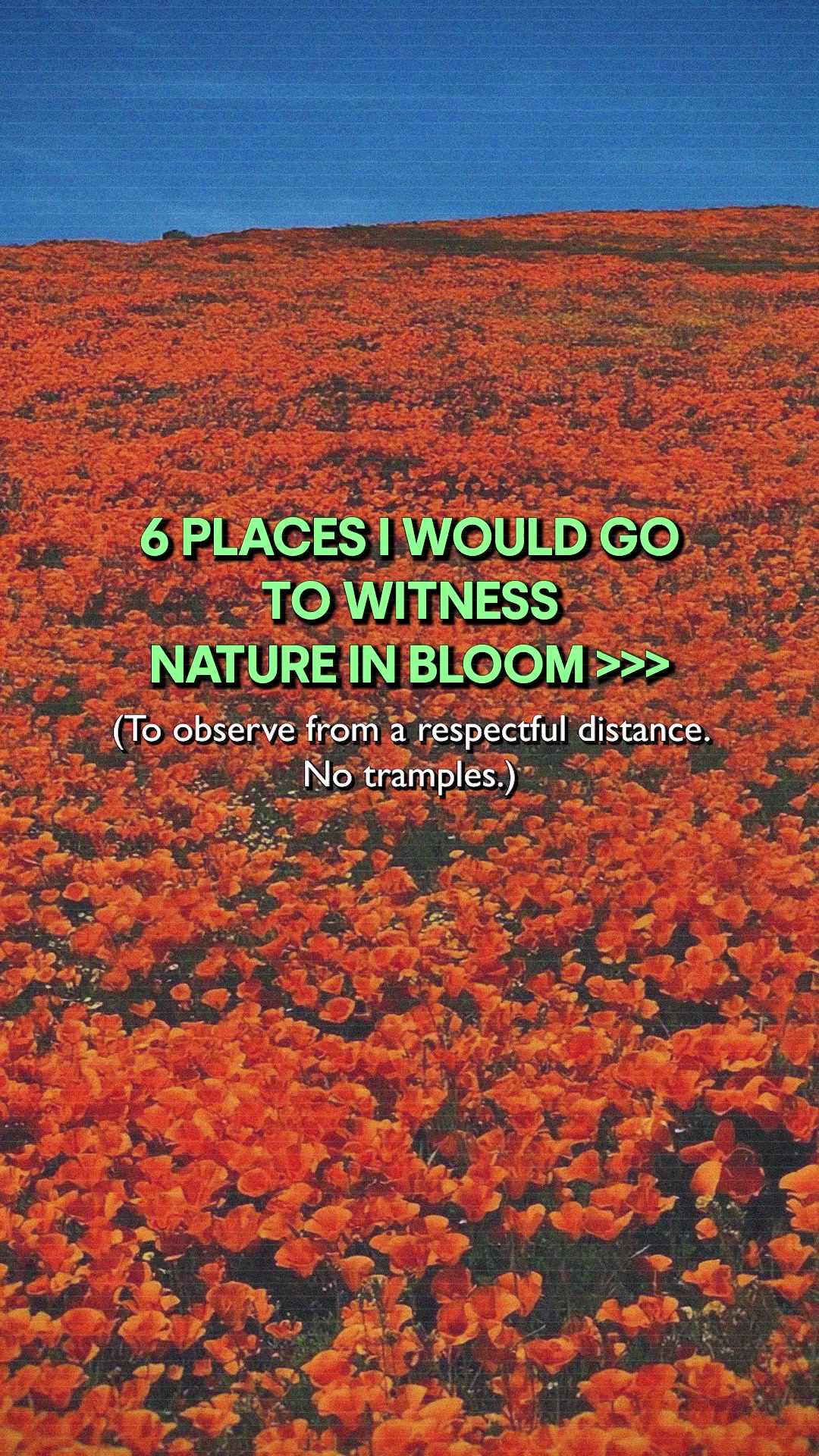 @Tripadvisor