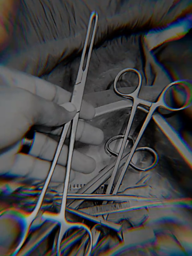@DR 🩺🫀🩹
