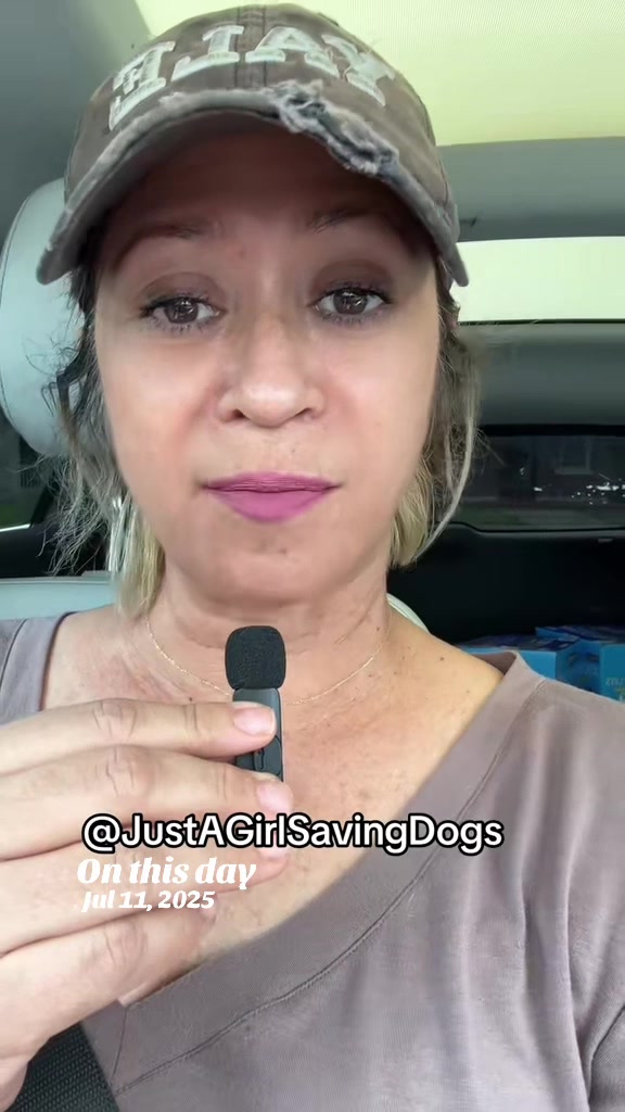 @Just A Girl Saving Dogs