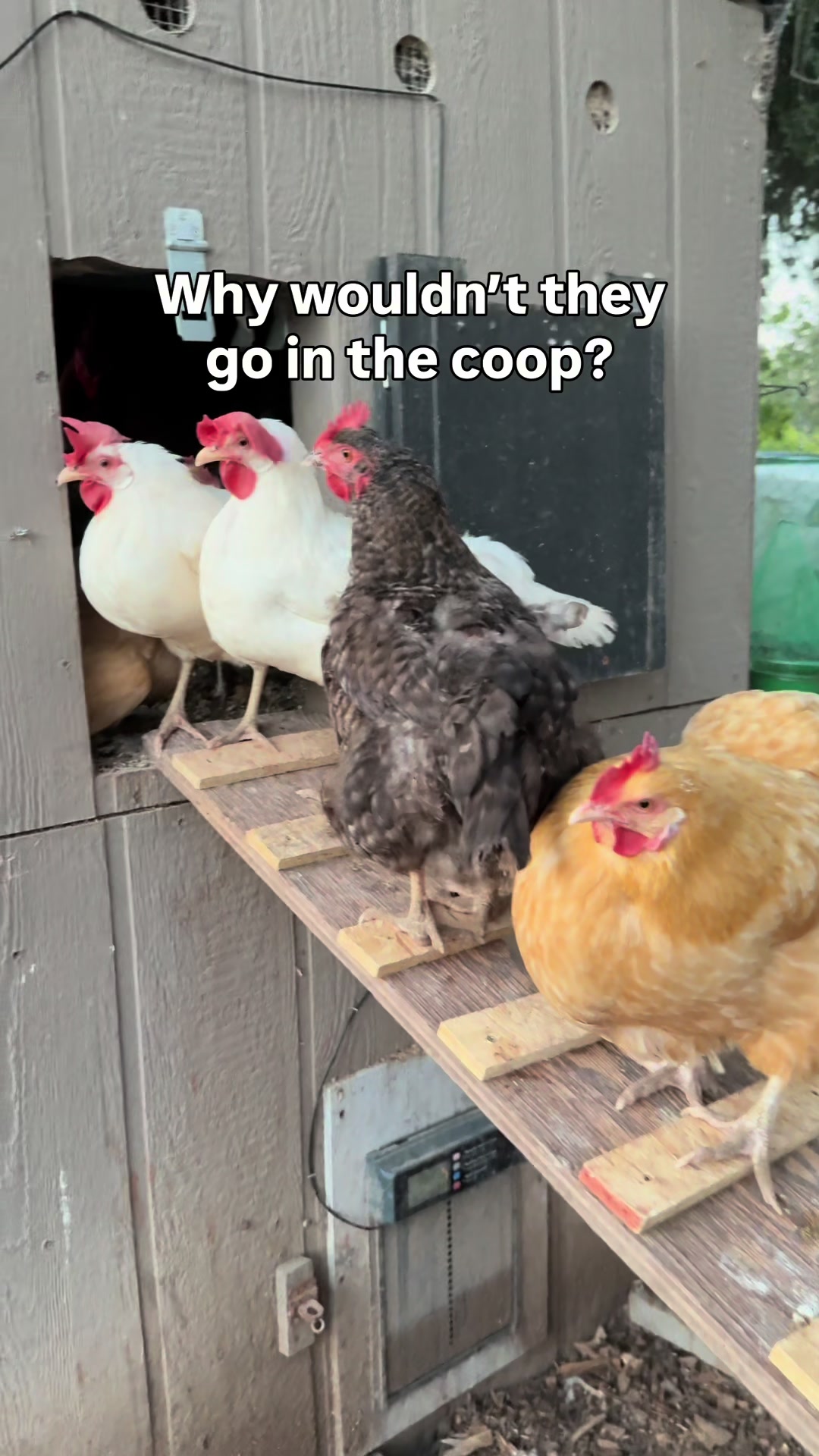 @The Real Estate Chick