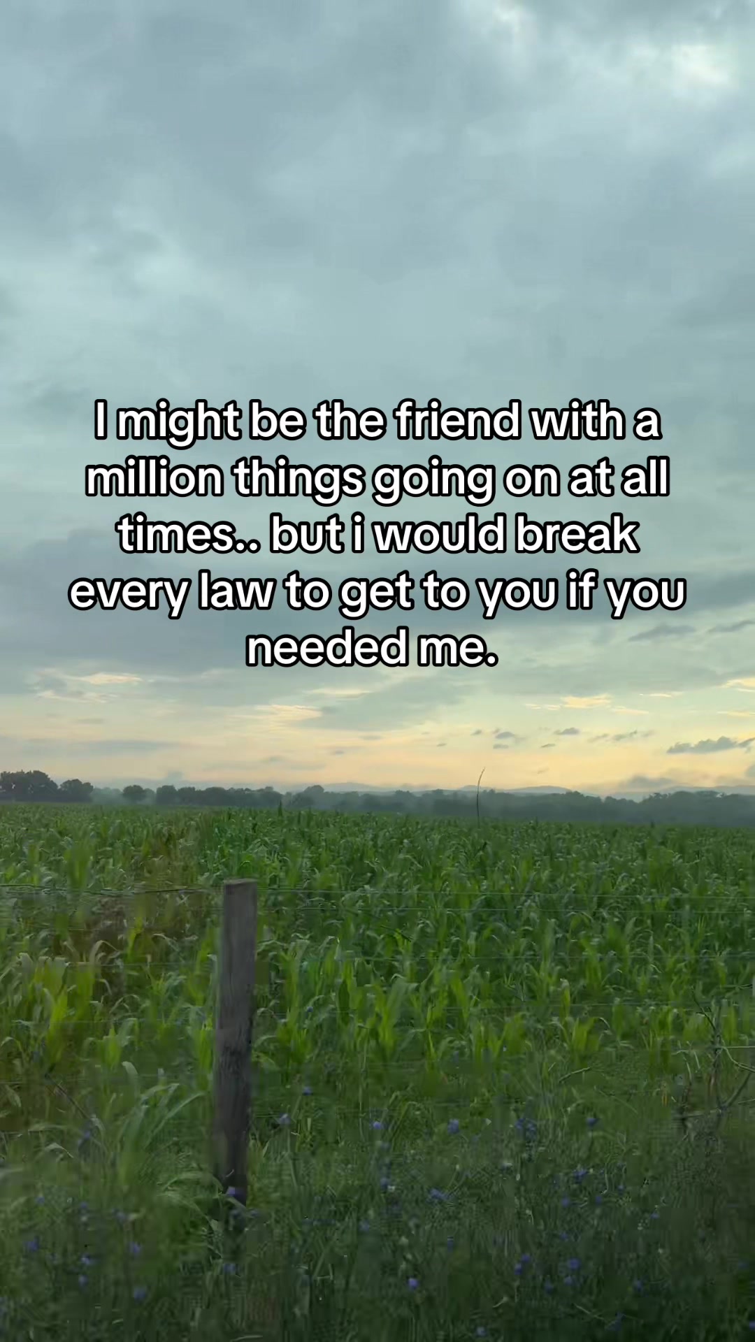 @mandie ruckman