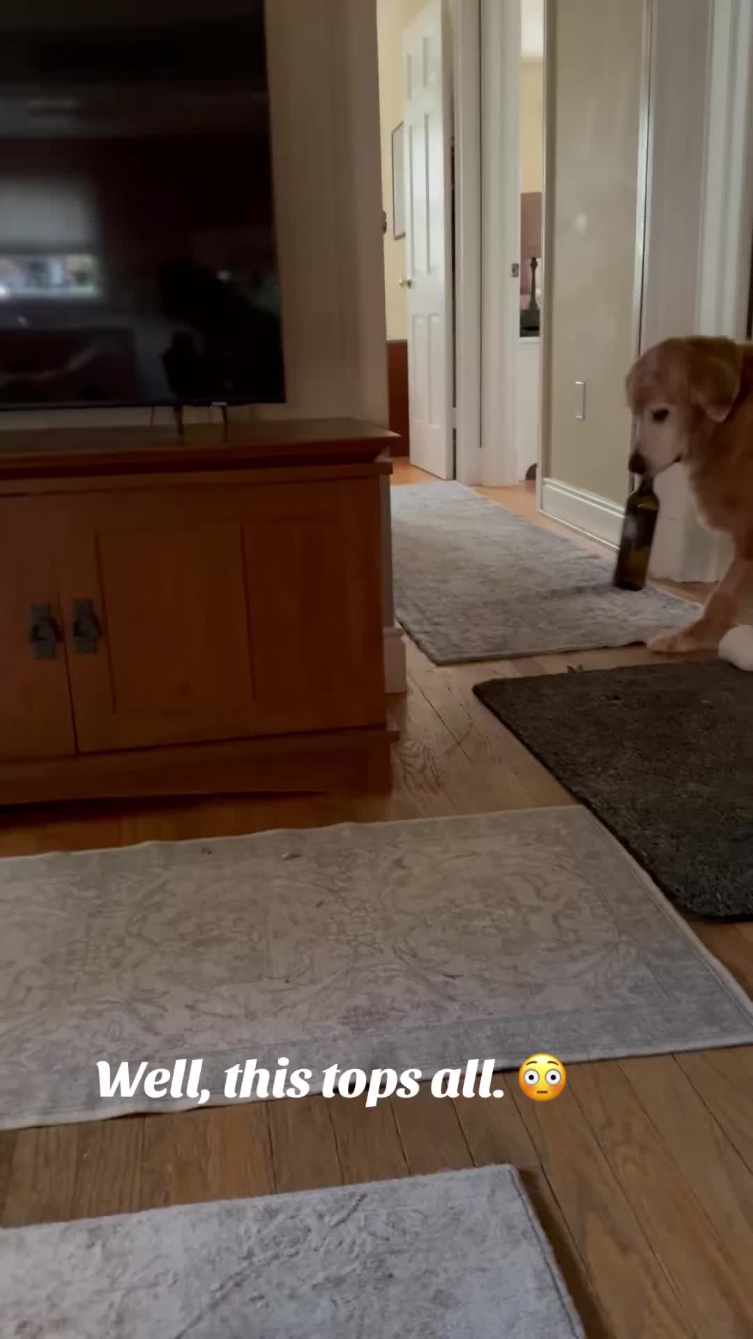 @lifewithduke2025