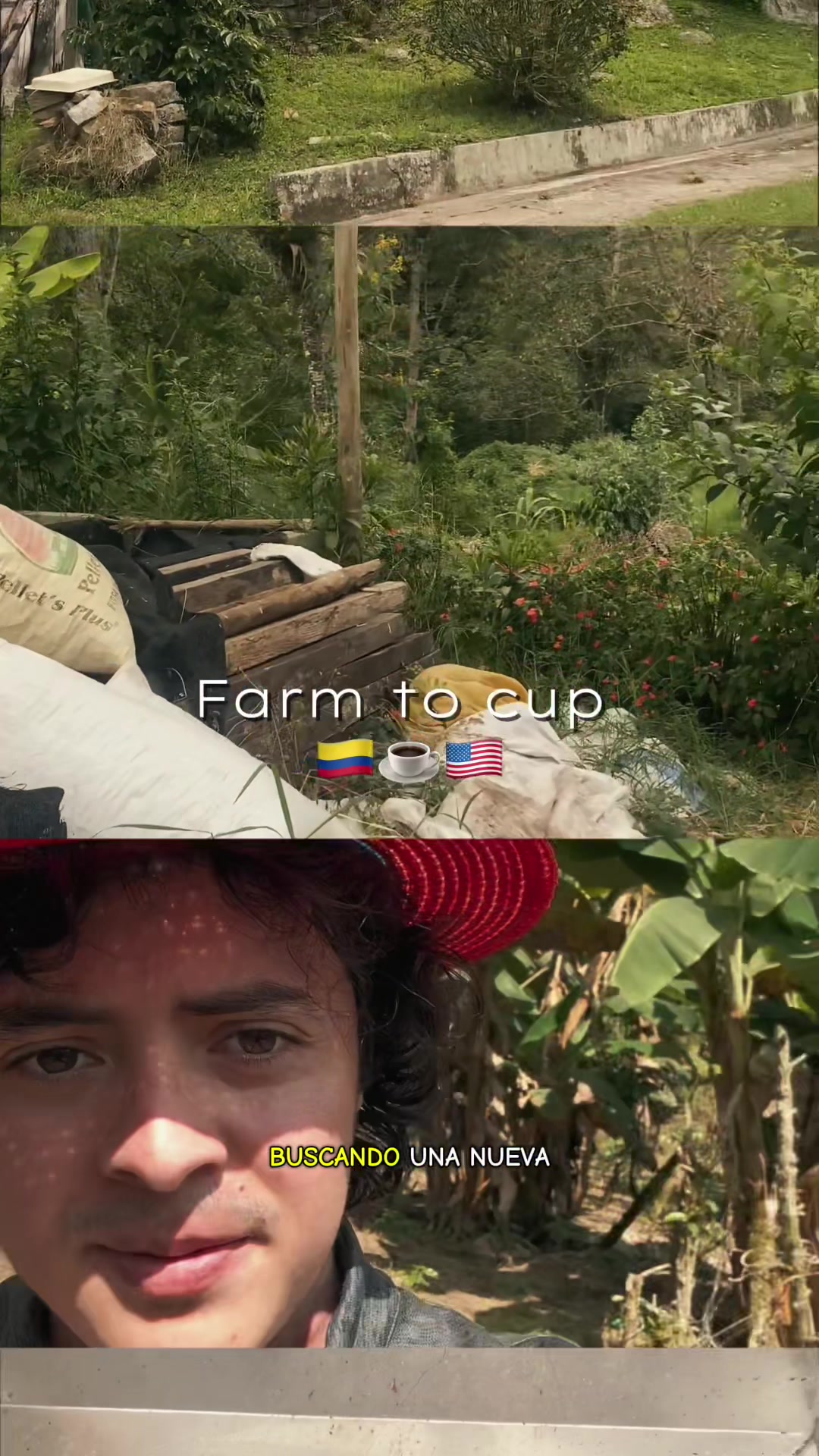 @Nicolas Marin
