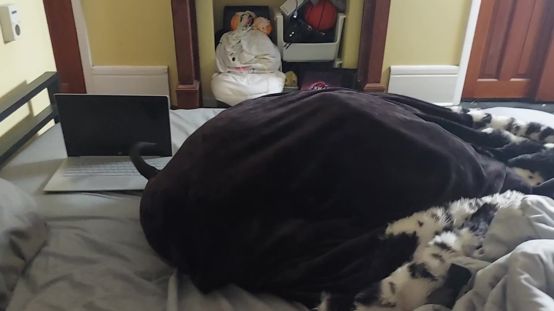 @jennerping