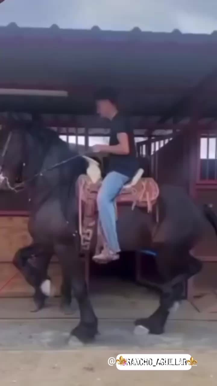 @yahirtorres6781