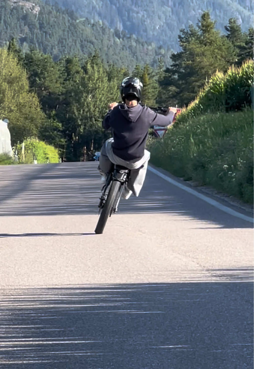 @MX4 Trex
