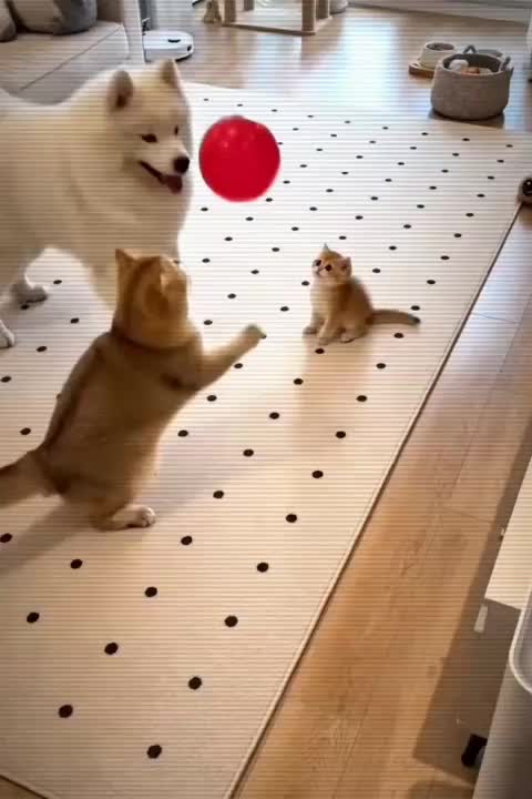 @Funny