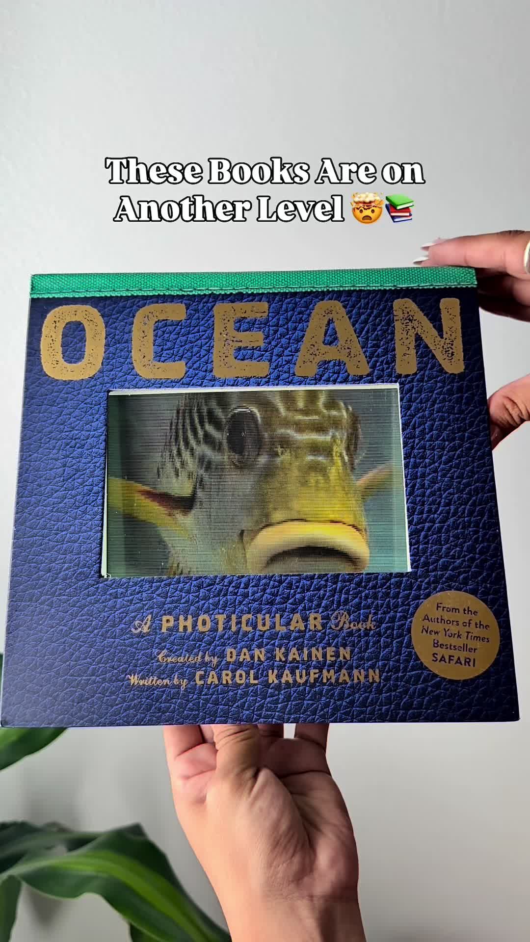@letimomlife