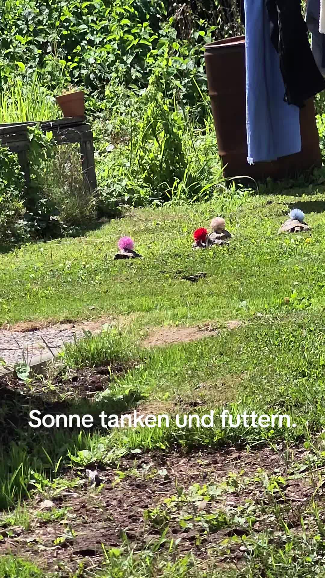 @Alexandra Neumann