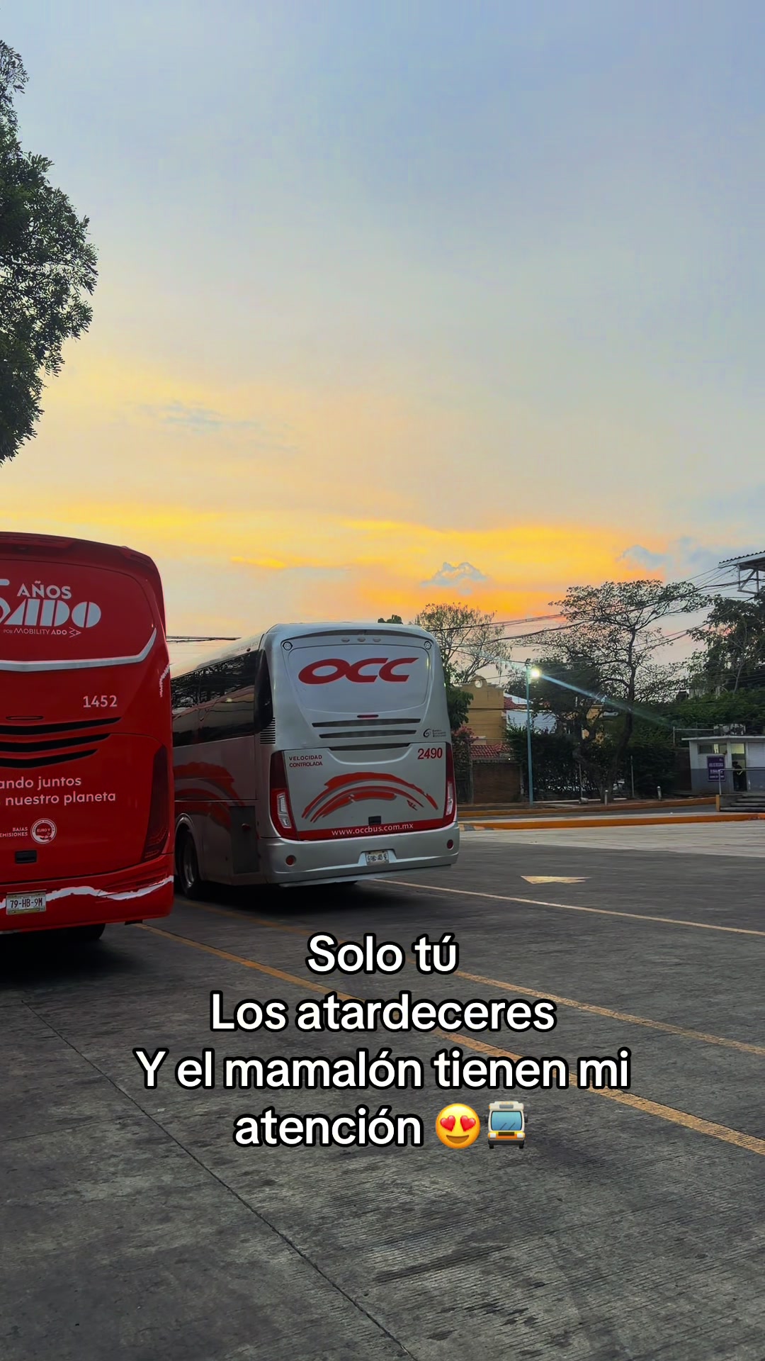 @ismaelcm78