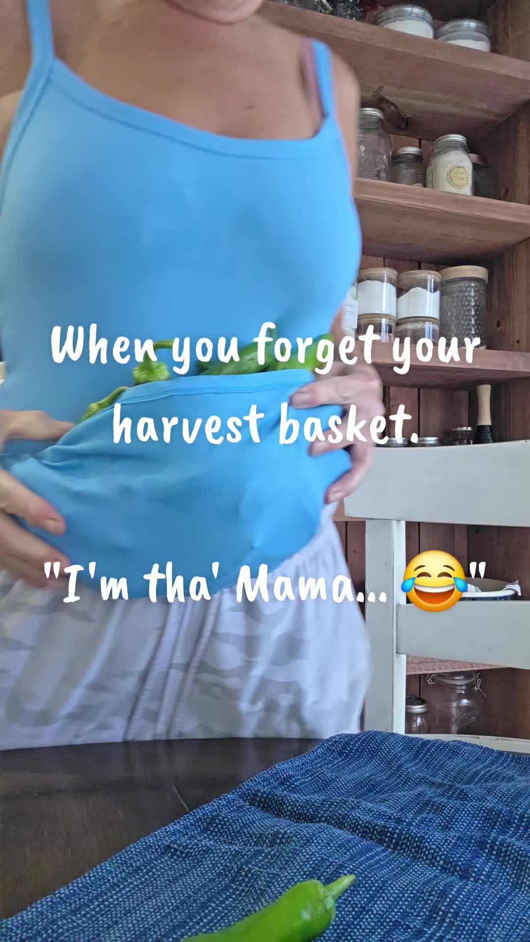 @Donna Van Patten