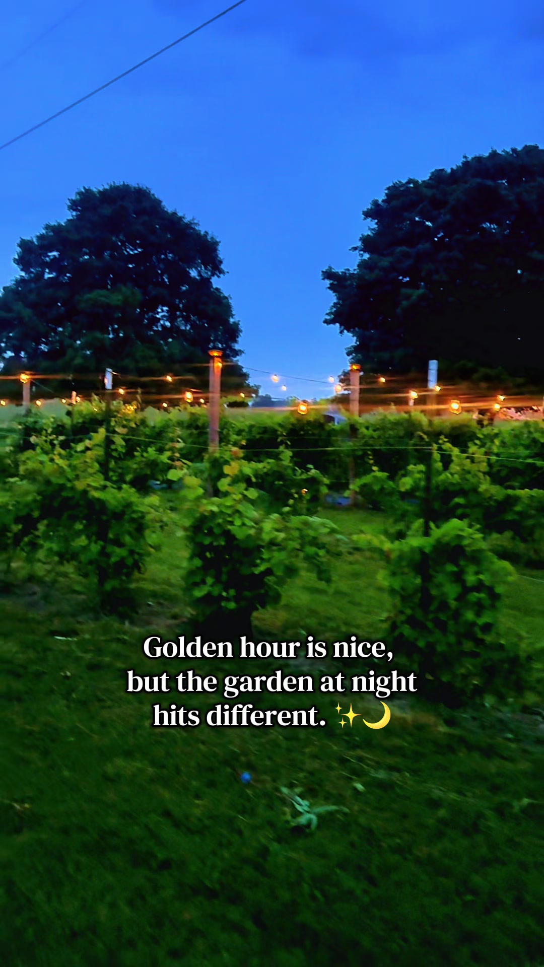 @Davis Farmstead