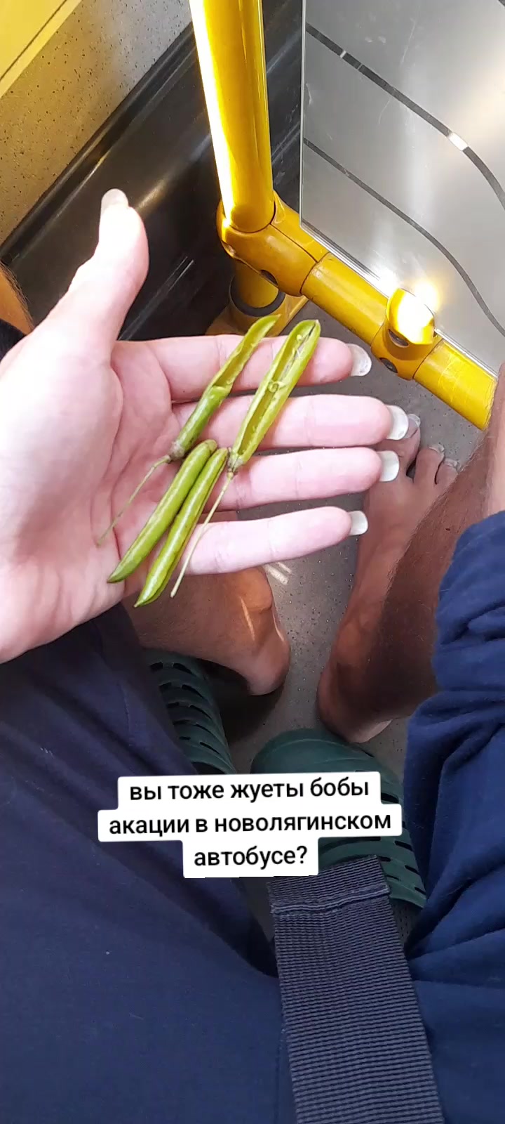 @Golovach_04_C_Layna