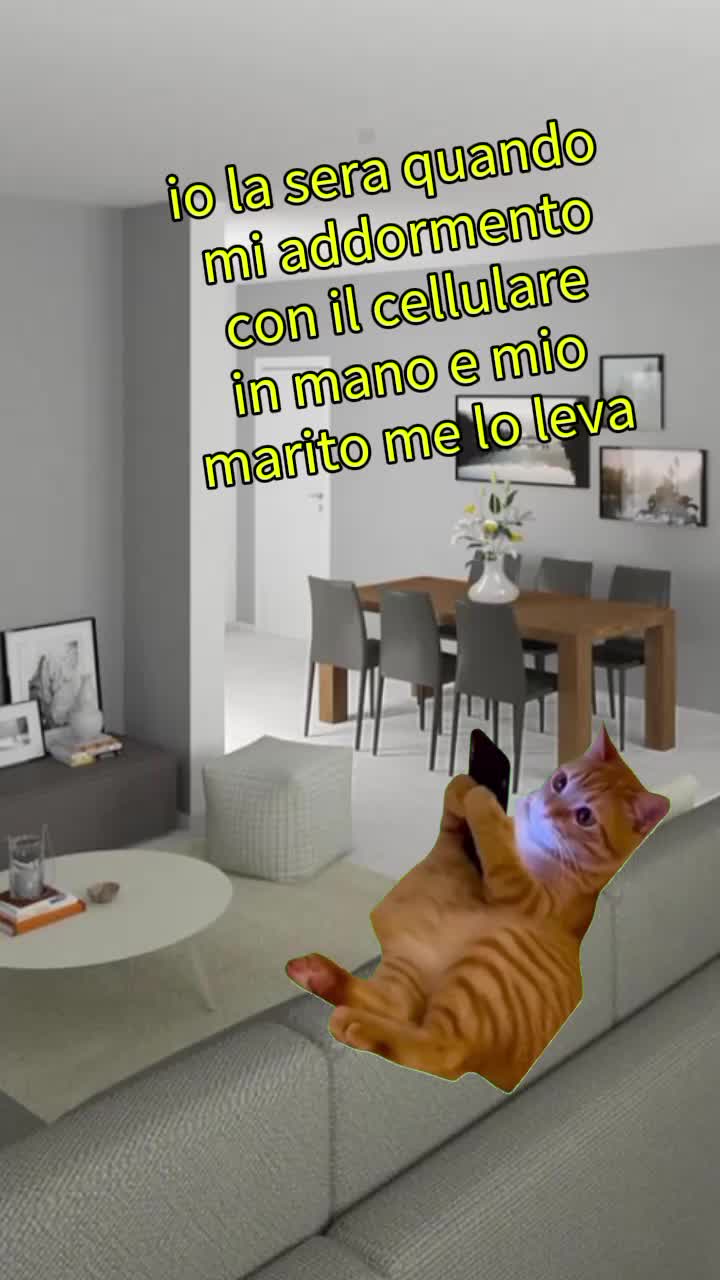 @SILVIA❤❤❤