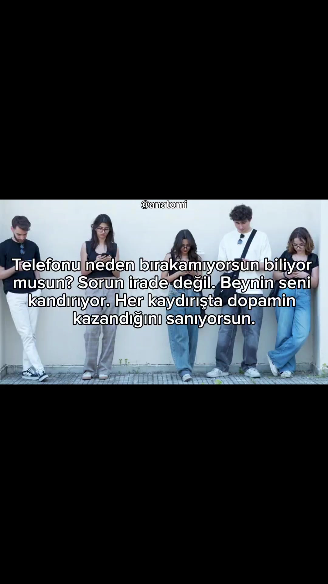 @Anatomi