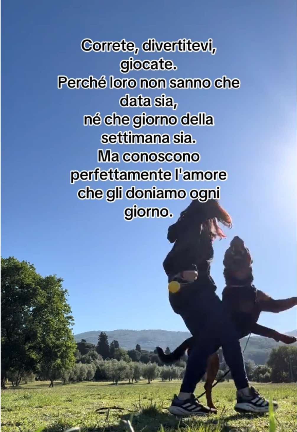@Le avventure di Thor 🌪️ w ❤️