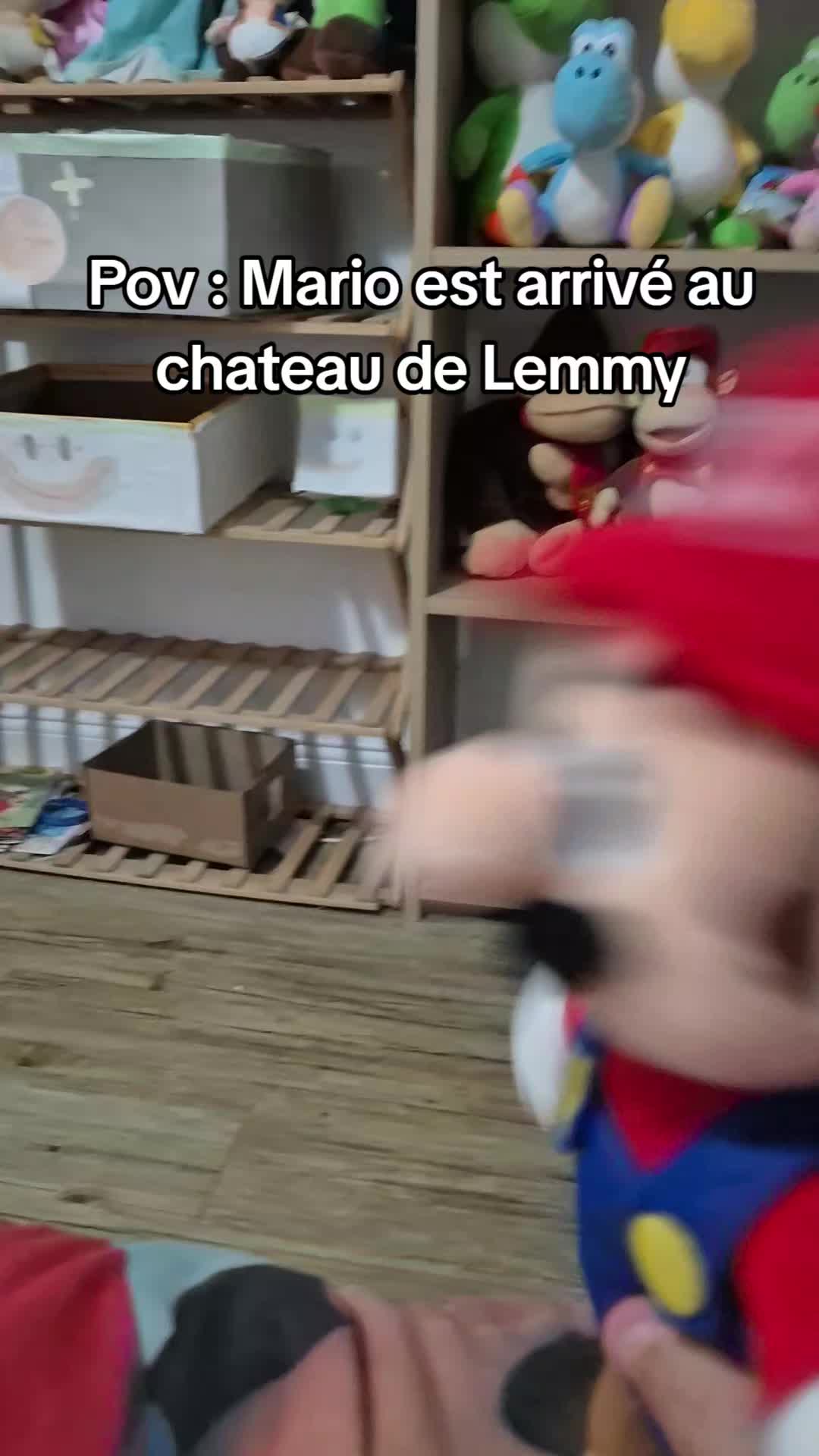 @peluchemario64