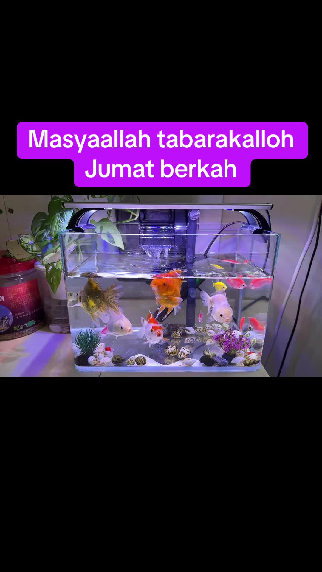 @dequeenlybeautycare