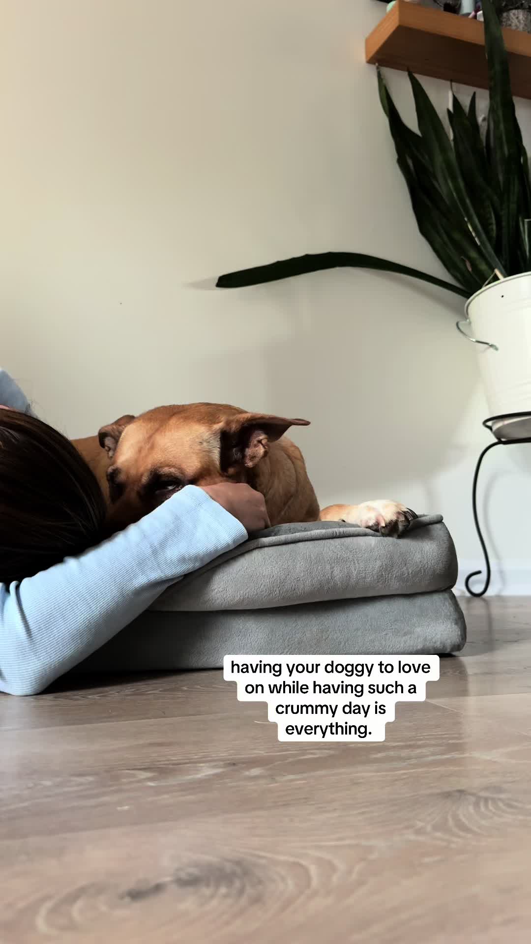 @aishatheadvocate