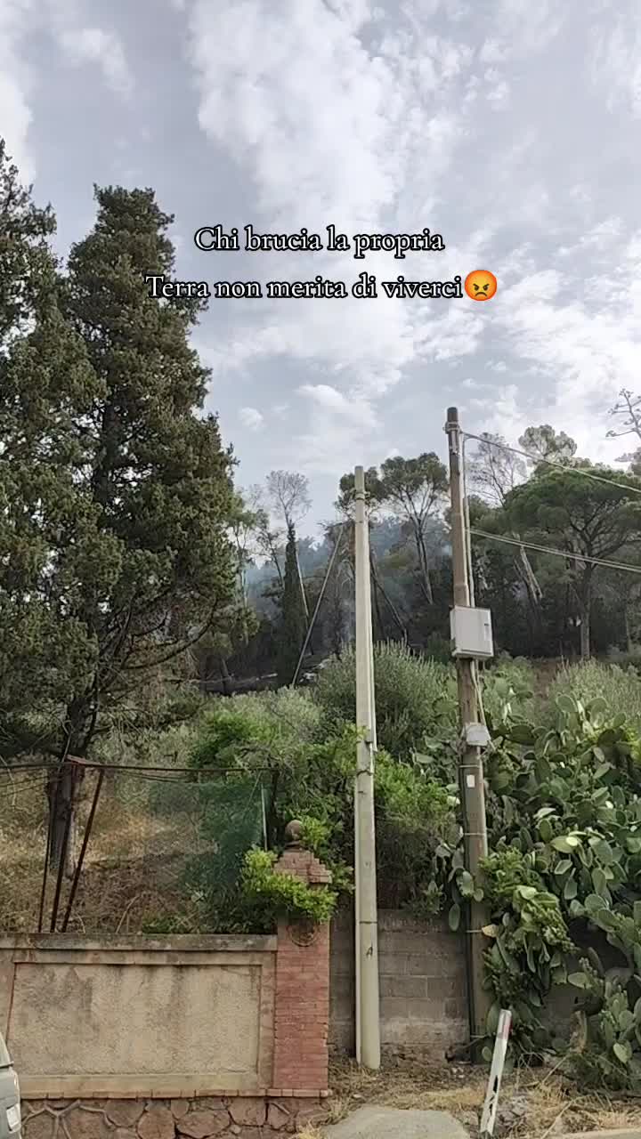 @🌻FEDERICA🌻