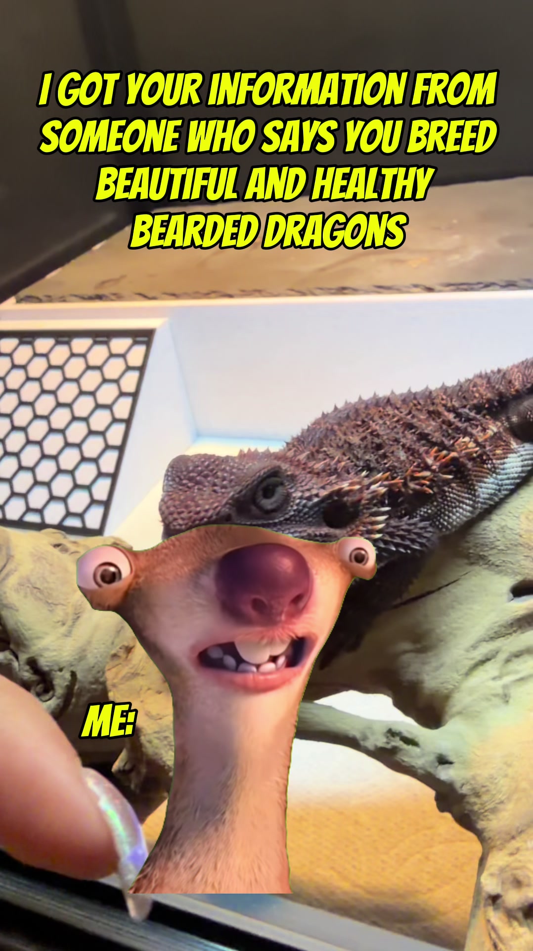 @indominusreps