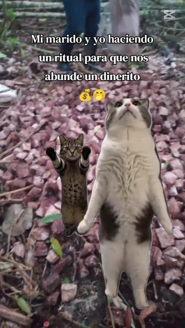 @🍒Valentina Cedeño🇪🇨💪