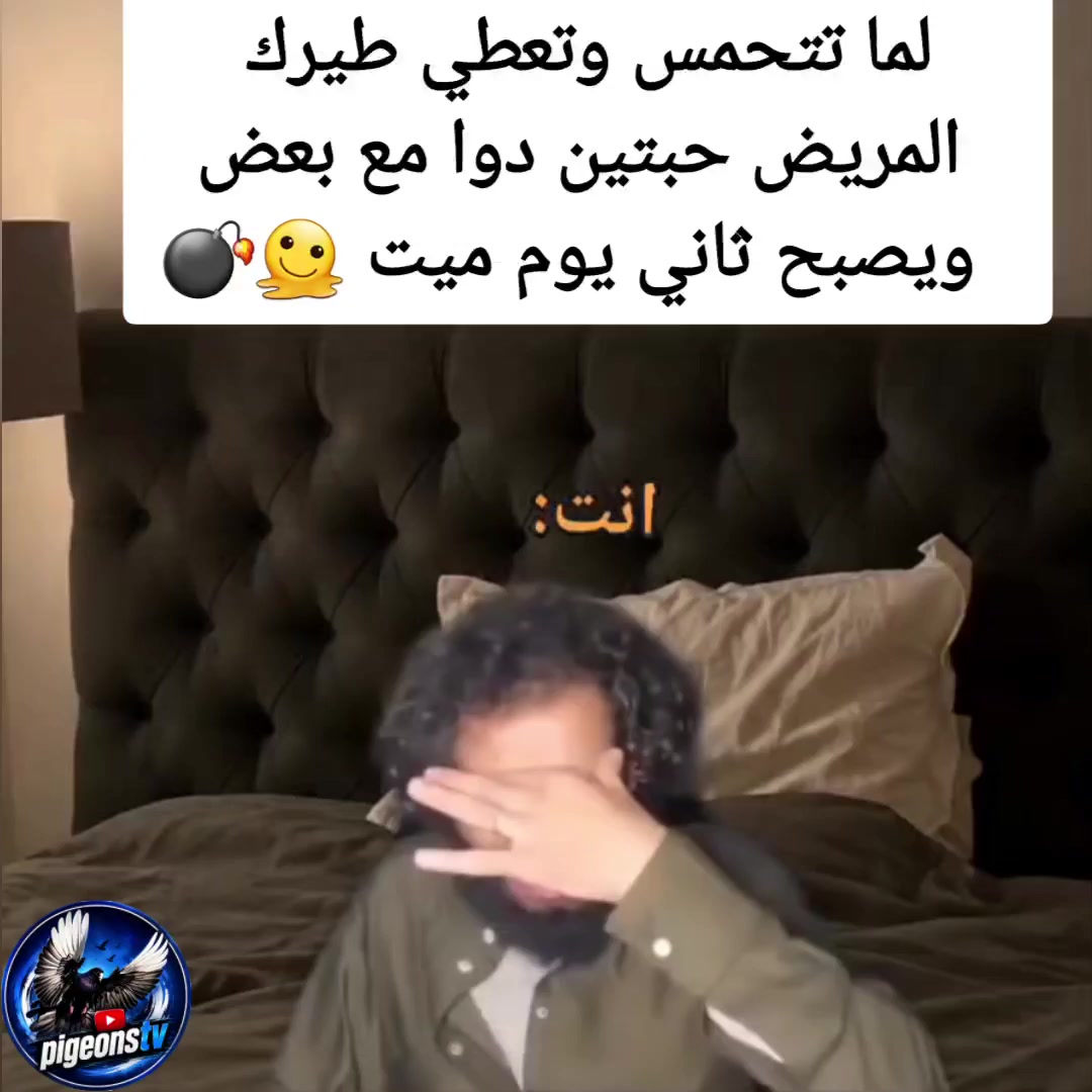 @Pigeons Tv