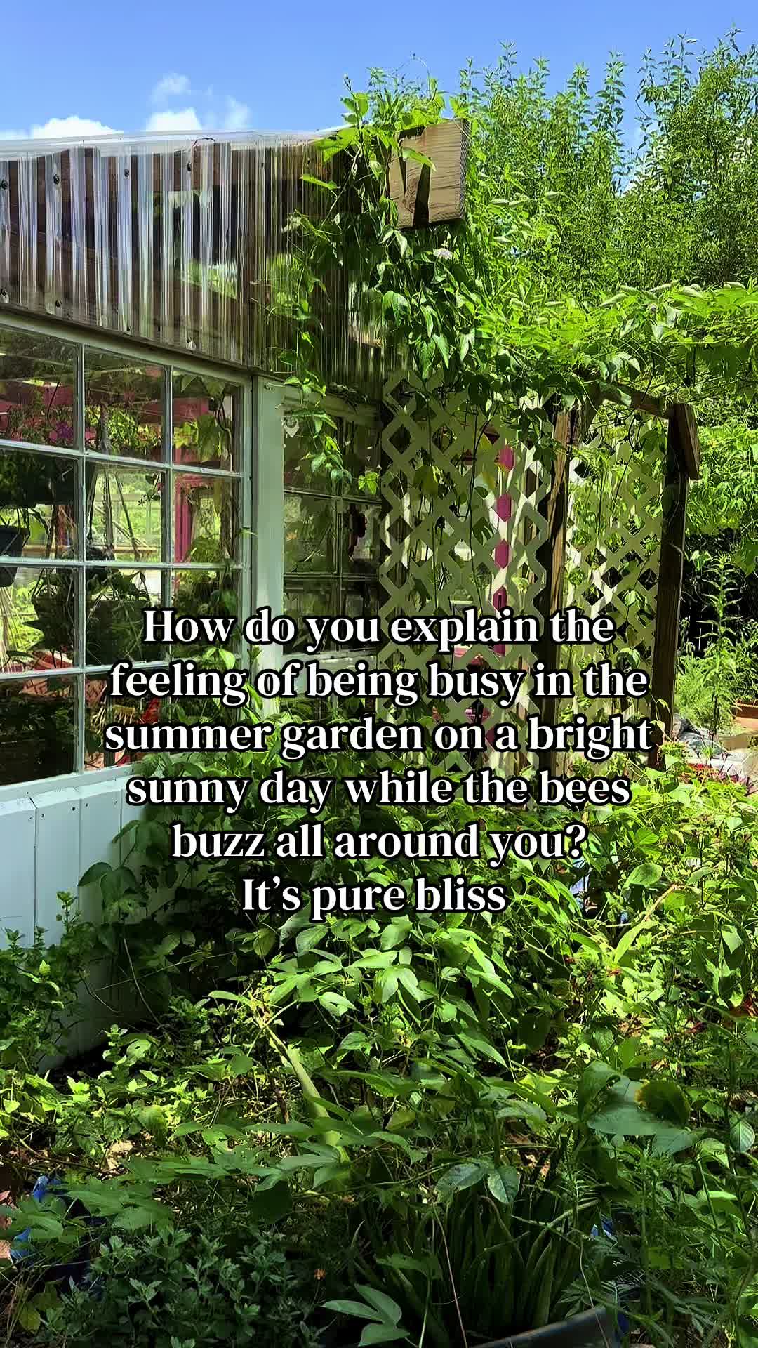 @Indigigardener