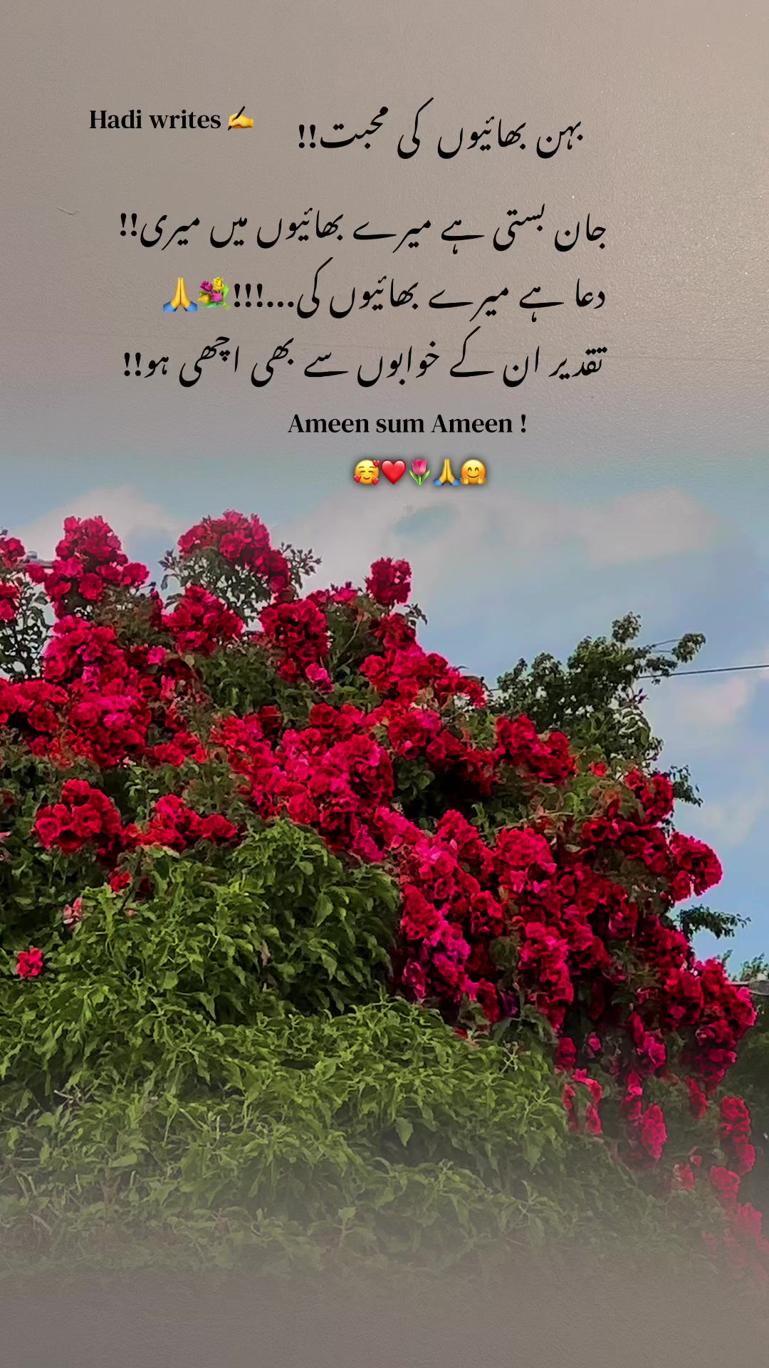 @Bhai Behen Quotes ✍️🥰🙏