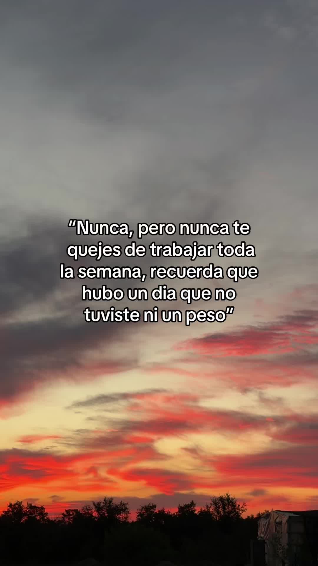 @El Trevol