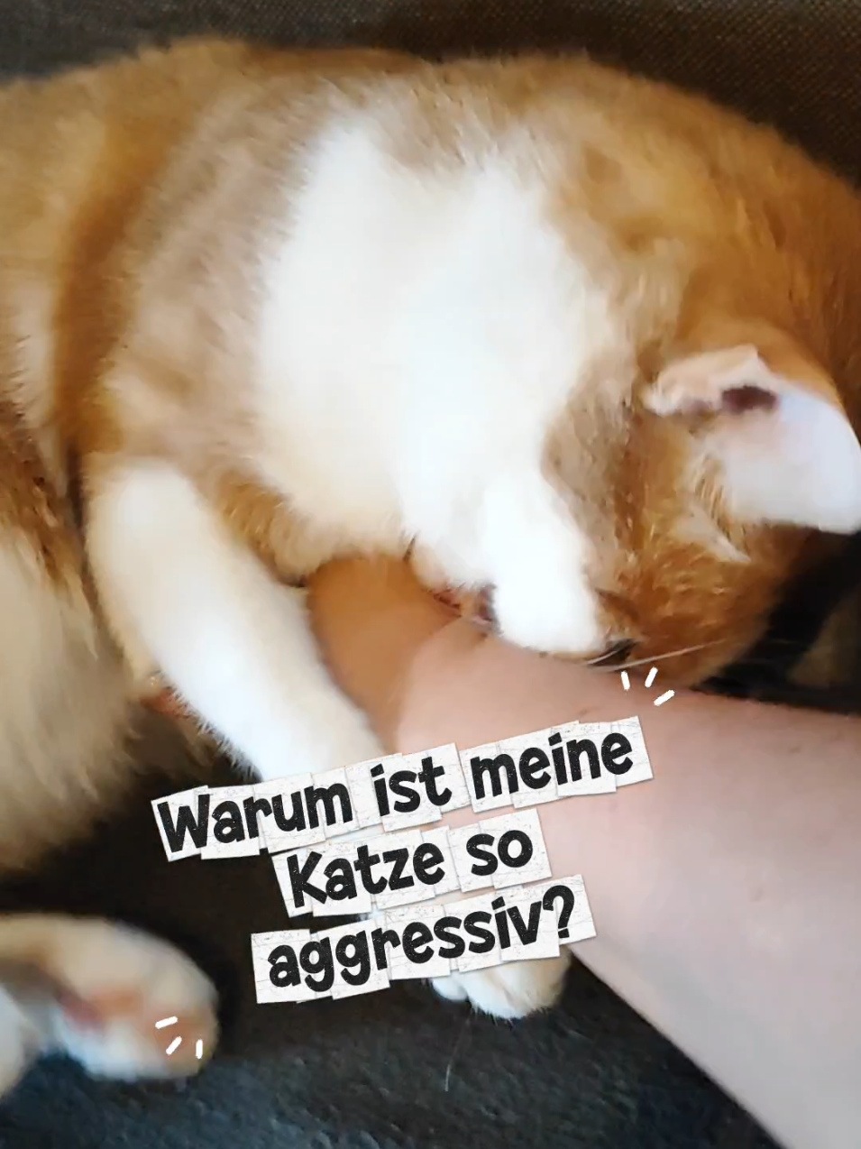 @😻нⷩeͤjdͩiͥneͤ😻